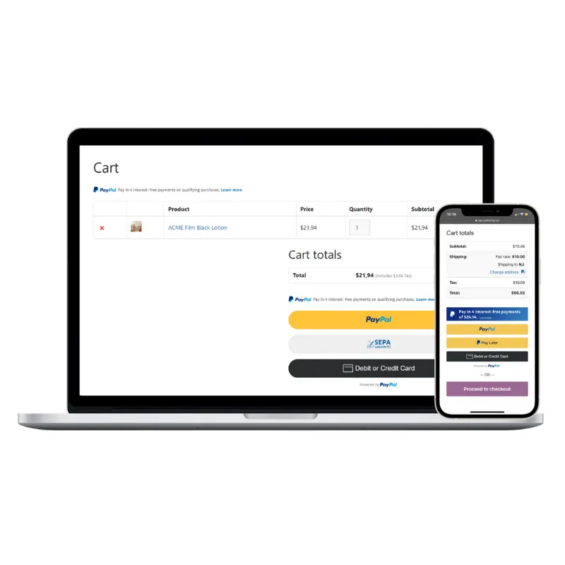 PayPal Complete Payments